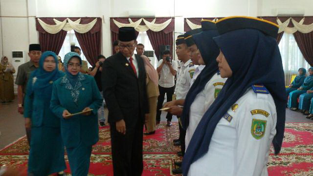 Bupati Rohil Serahkan SK CPNS Ke Alumni STTD